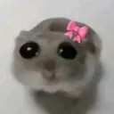 bow