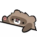 bongoferret