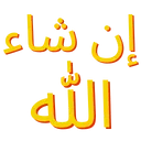 100_Inshallah