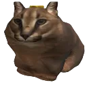 floppa