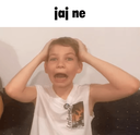 jajne Discord sticker - BDRP I Border Roleplay