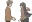 slapq