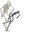 SkeletonPls