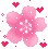 cherryblossom