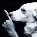 shh