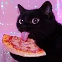 pizzacat