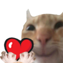 :0Cat_lovesU:
