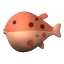 blowfish_3d