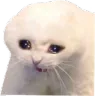 vergeoftears