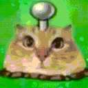 Cat_landmine