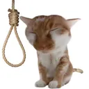 Cat_string