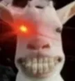 shit