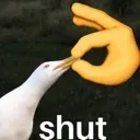 SHUT SHUT