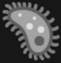 grey_virous grey_virous