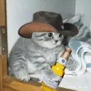 mexican_cat
