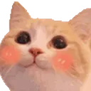 3_