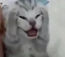 AHH
