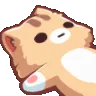 spinningkitty