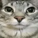 stare
