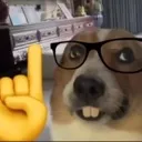 dognerd