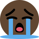 :brown_cry: