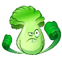 lettuce lettuce