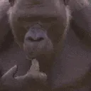 Thinking Thinking