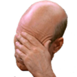 8facepalm custom emote | ◇𝑺𝒕𝒂𝒓𝒍𝒊𝒈𝒉𝒕 𝑰𝒏𝒏◇