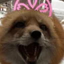ianZuna