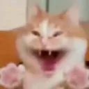 emoji_13