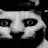 catawaredeluxe