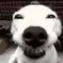 emoji_12