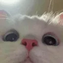 c_