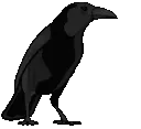 croww