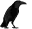 croww