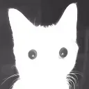 cat2