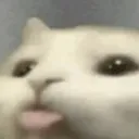 blep