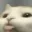 blep
