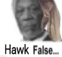 hawkfalse