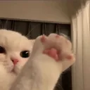 hi