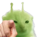 glorpoint
