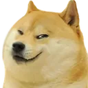dogesmirk dogesmirk