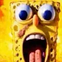 sponge
