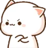 angry_catto