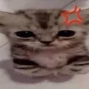 emoji_4