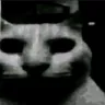 bleakcat