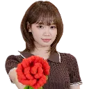 swts_chaewon_rose