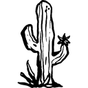 Cactus Discord emoji