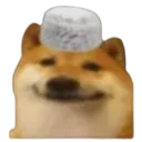 halal_doge halal_doge