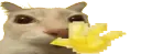 otaghi